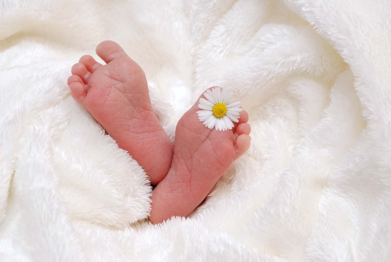 feet, baby, birth, child, blanket, newborn, born, infant, small, human, small feet, baby feet, newborn baby, baby, baby, baby, baby, baby, birth